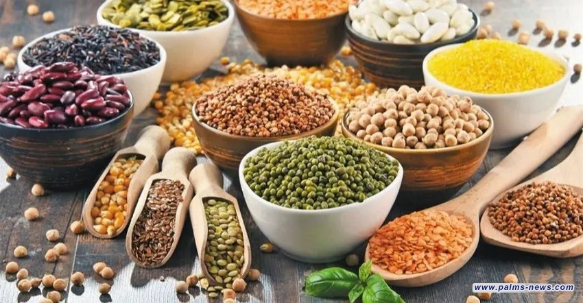 العراق يتصدر أسواق تركيا في استيراد الحبوب والبقوليات